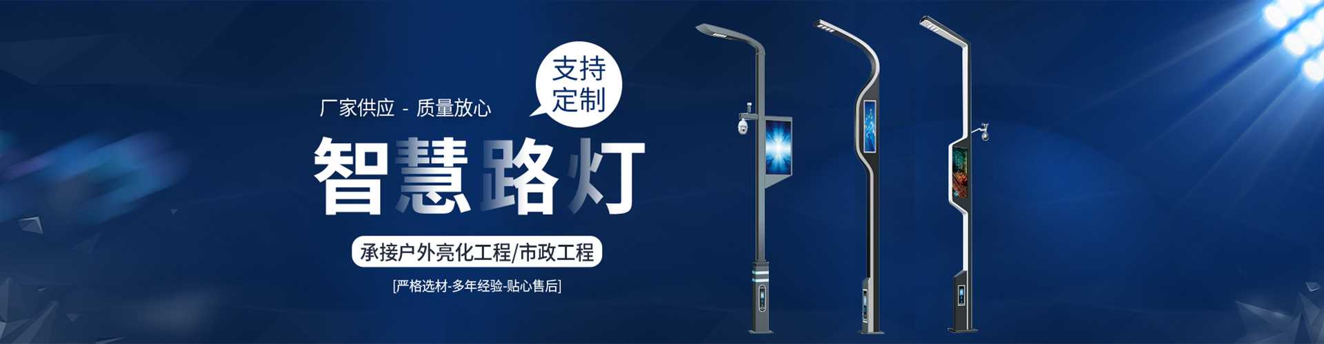 碑林区太阳能路灯定制厂家