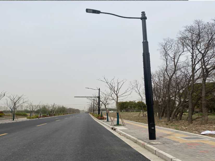 碑林区上海综合杆 太阳能路灯工程